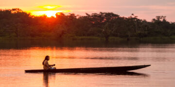 Importância da Biodiversidade: Preservando a Vida no Planeta
