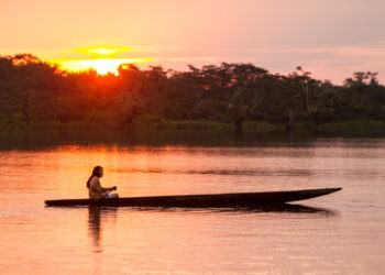 Restauração da Amazônia: Projeto Arco Verde impulsiona a recuperação ambiental com apoio do BNDES