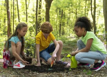 A Importância da Educação Ambiental para a Preservação do Planeta