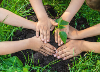 Educação Ambiental: Prevenção de Incêndios Florestais