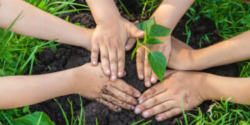 Educação Ambiental: Prevenção de Incêndios Florestais