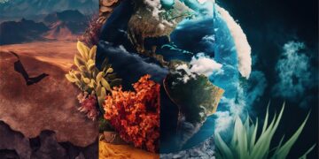 Conferência Brasileira de Mudança Climática 2024: Avanços e Compromissos Rumo à Sustentabilidade