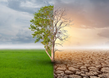 Mudanças Climáticas: Impactos, Causas e Soluções