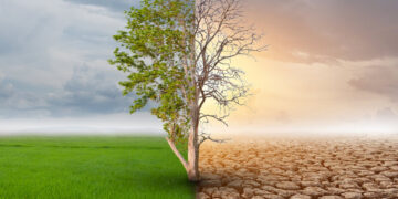 Mudanças Climáticas: Impactos, Causas e Soluções