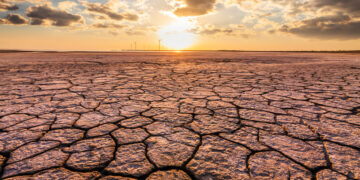 Conferência Brasileira de Mudança do Clima (CBMC) 2024: rumo à ação climática