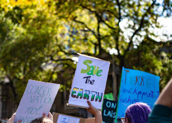 Conservação e Preservação Ambiental no Brasil: Desafios e Soluções