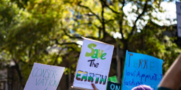 Conservação e Preservação Ambiental no Brasil: Desafios e Soluções