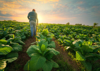Futuro da Biotech: Avanços, Tendências e Impacto na Sociedade