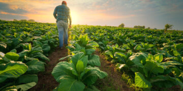Futuro da Biotech: Avanços, Tendências e Impacto na Sociedade