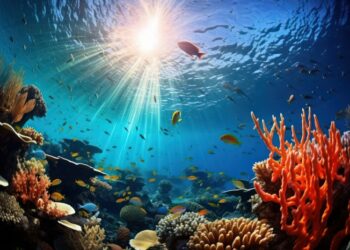 Explorando a Biodiversidade Aquática: Importância, Ameaças e Conservação