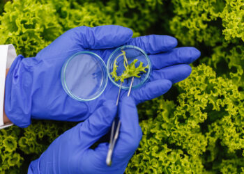 Soluções Baseadas na Natureza para a Conservação: Como a Natureza Está Ajudando a Proteger o Meio Ambiente