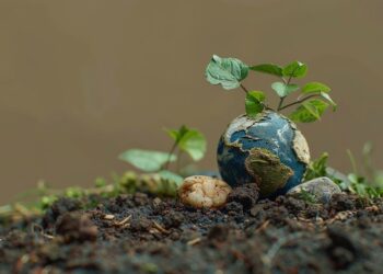 Impactos das Mudanças Climáticas na Biodiversidade: Desafios e Soluções