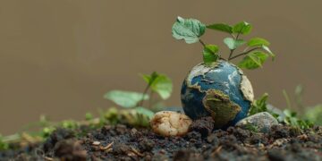 Impactos das Mudanças Climáticas na Biodiversidade: Desafios e Soluções
