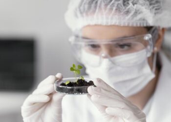 O Papel da Biotecnologia na Preservação da Biodiversidade: Inovações e Impactos