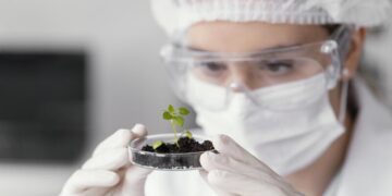 O Papel da Biotecnologia na Preservação da Biodiversidade: Inovações e Impactos