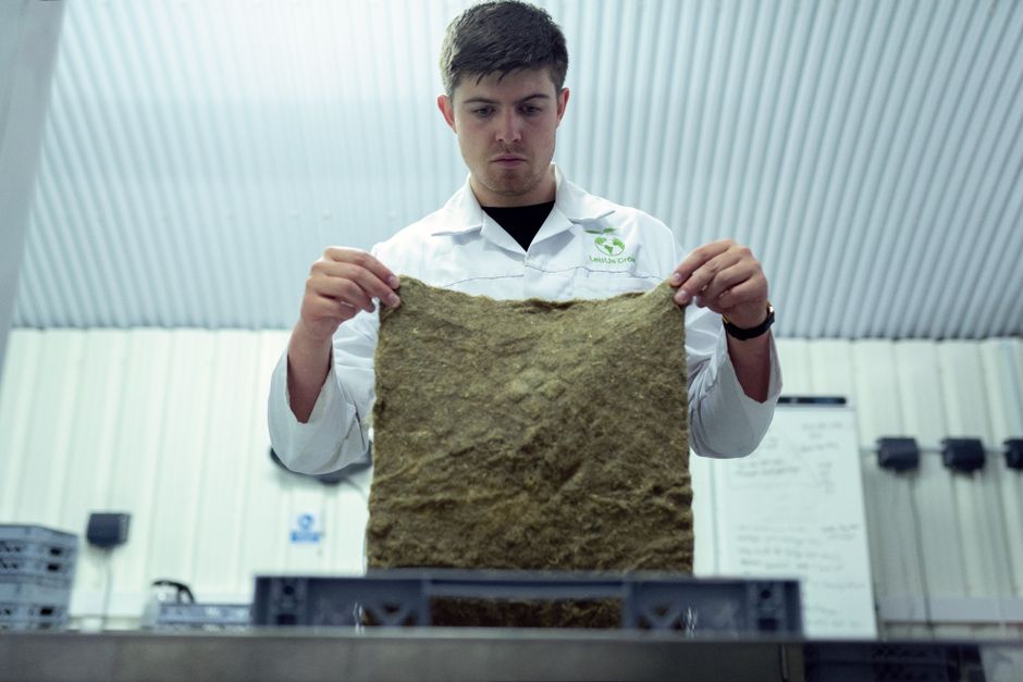 Conservação Ambiental — A scientist inspects a piece of biodegradable material in a laboratory setting, promoting