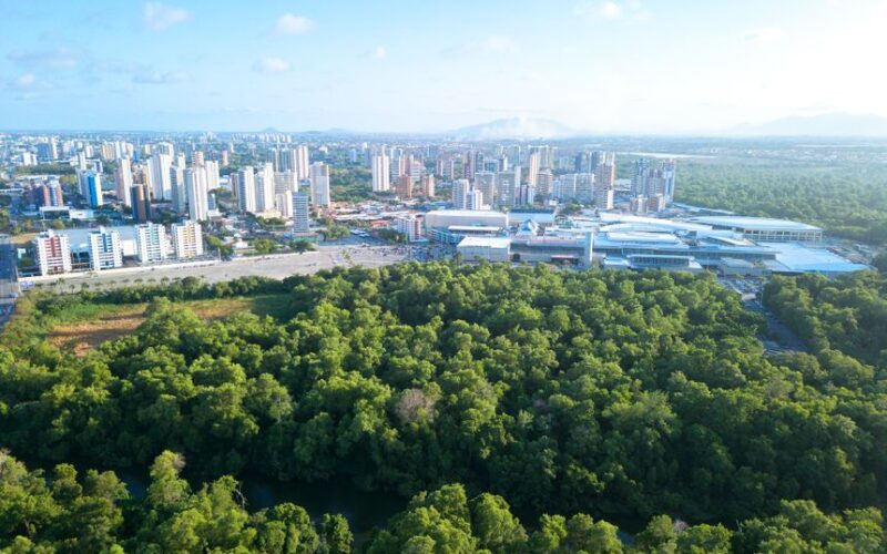 Conservação Ambiental: Uma Visão Crítica