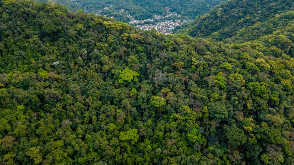 Conservação Ambiental — Aerial shot of dense tropical forest in Rio de Janeiro, Brazil, with a distant view of the city.